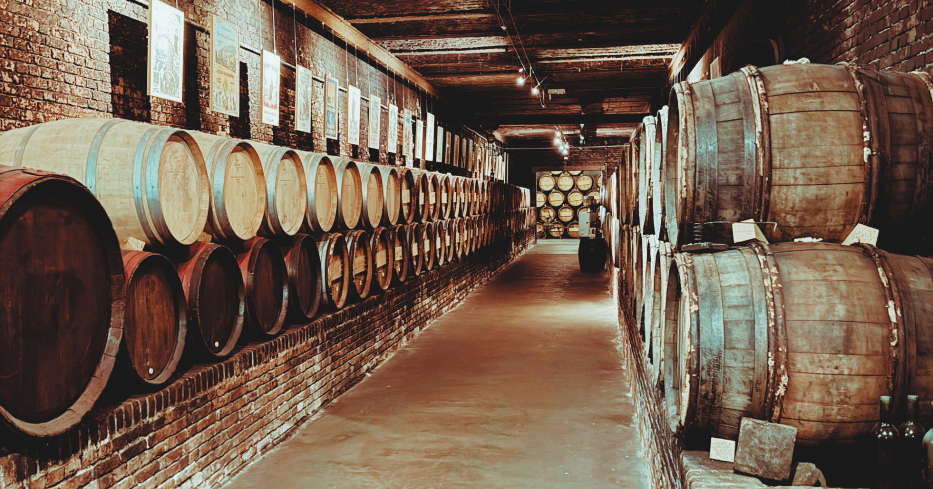 Oak barrels lining a historic cellar
